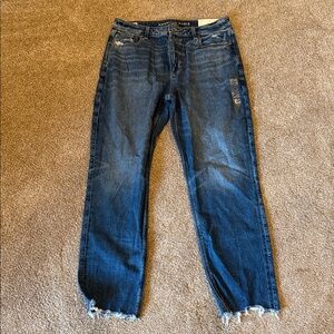 NEW American Eagle Outfitters Strigid Mom Jeans